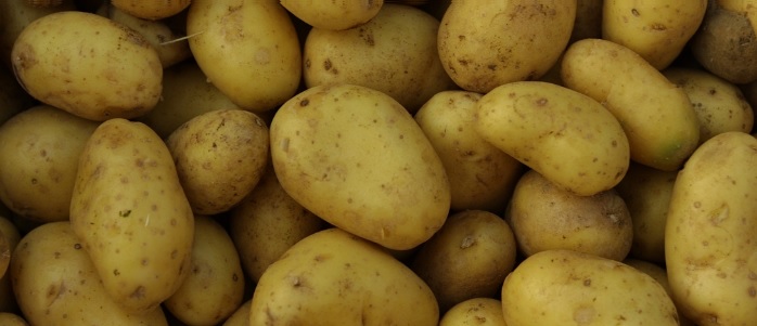 patates-nevrokopiou-pollaplasiazontai-choris-na-gennoun-22587