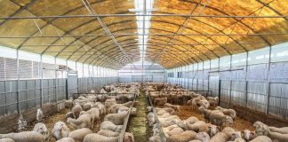 Σερραίοι παραγωγοί ζητούν αλλαγή προεδρικού διατάγματος για ανέγερση κτηνοτροφικών εγκαταστάσεων