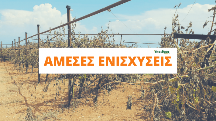 ameseis-enischyseis-apo-µesa-oktovriou-to-70-tis-vasikis-134017