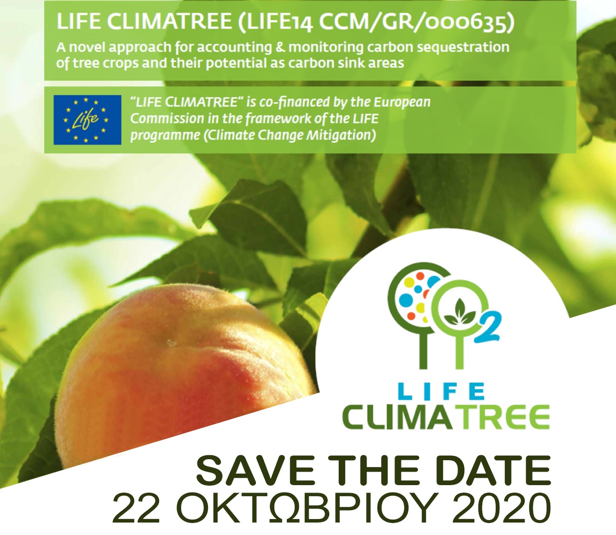 life-climatree-diadiktyako-synedrio-gia-ta-karpofora-dentra-stin-ypiresia-tou-metriasmou-tis-klimatikis-allagis-tin-pebti-22-10-211797