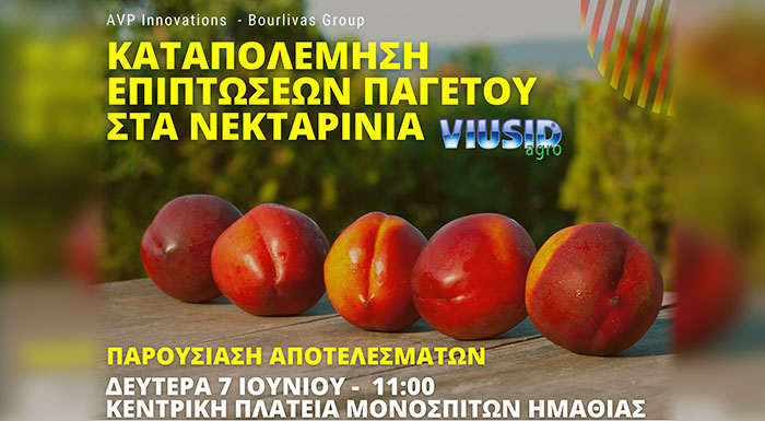 katapolemisi-epiptoseon-tou-pagetou-se-nektarinia-me-to-viusid-agro-parousiasi-apotelesmaton-peiramatos-233191