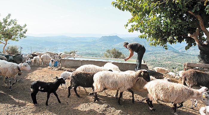 kozani-seminario-tou-elgo-gia-tin-ktinotrofia-tin-pebti-9-dekemvriou-244659