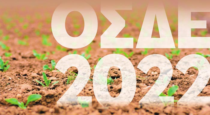 osde-2022-tora-zitane-kai-ta-resta-273417