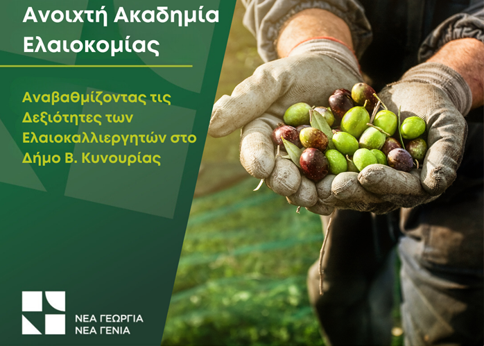 anoichti-akadimia-elaiokomias-xekinaei-sto-astros-kynourias-323624